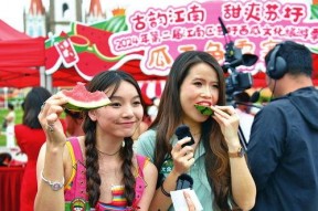 吃瓜者娱乐,揭秘娱乐圈幕后故事